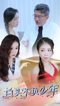《白头不负少年》短剧在线观看免费完整版 (2024) 海报