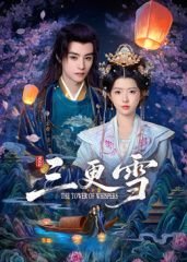 《三更雪电视剧免费观看完整版》2025 海报