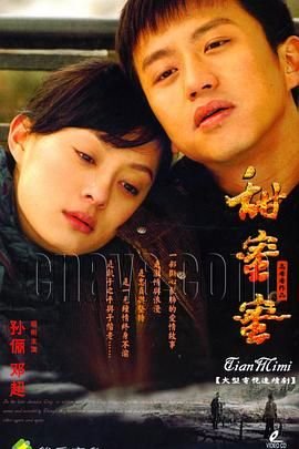 《甜蜜蜜免费全集在线观看完整版01集》2007 海报