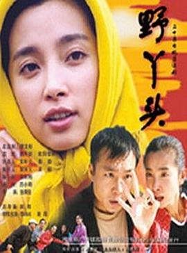 《大陆电视剧《野丫头》在线免费观看全集完整版》2001 海报