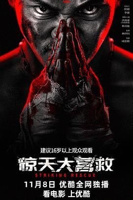 《惊天大营救》电影完整版资源免费在线观看_中国大陆 (2024) 海报