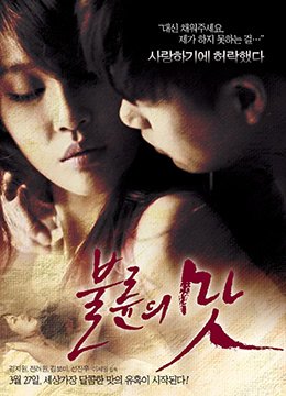 出轨的味道2免费观看正版电视剧中文 (2014) 海报