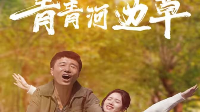 《青青河边草》HD免费观看电视剧高清未删减 (2024) 海报