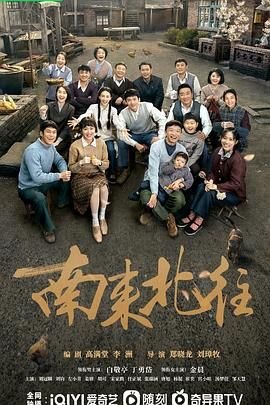 《南来北往》电视剧免费观看完整版 (2024) 海报