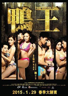 《《鸭王1》电视剧粤语在线观看全集高清完整版》2015 海报